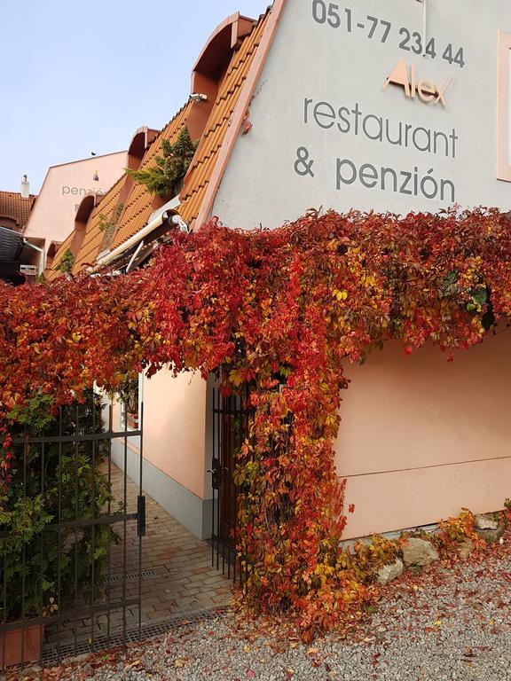 Alex Pension Prešov المظهر الخارجي الصورة