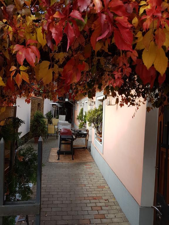 Alex Pension Prešov المظهر الخارجي الصورة